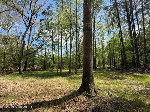 $1,053,260 | Seymour Road, Kilmichael, MS 39747