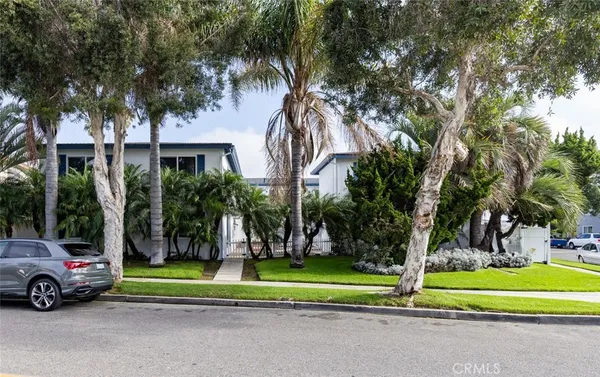 a view of road and trees