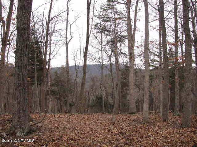 Mt Pleasant Road Shawsville, VA 24162 - Photo 2 of 9 Gallery Image 2
