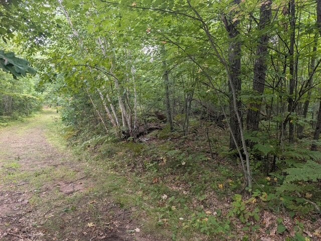 0 Ela Street Trego, WI 54888 - Photo 2 of 3 Gallery Image 2
