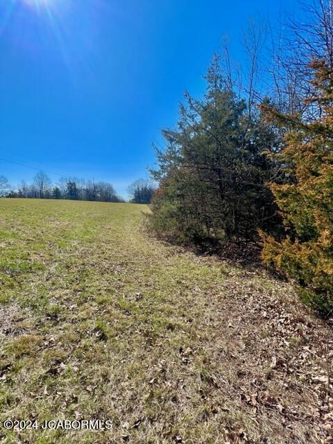 Lot 2 Co Road Holts Summit, MO 65043 - Photo 20 of 23