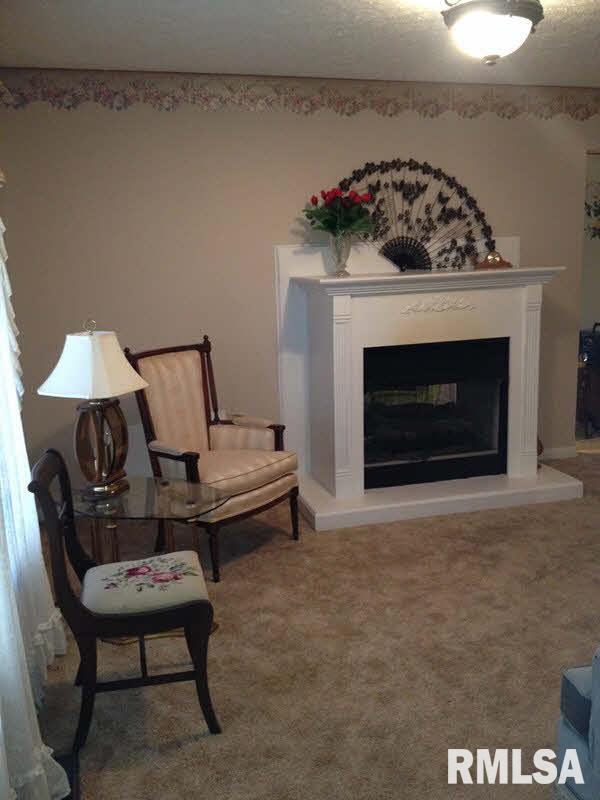 11699 Spowart Road West Frankfort, IL 62896 - Photo 5 of 12 Gallery Image 5