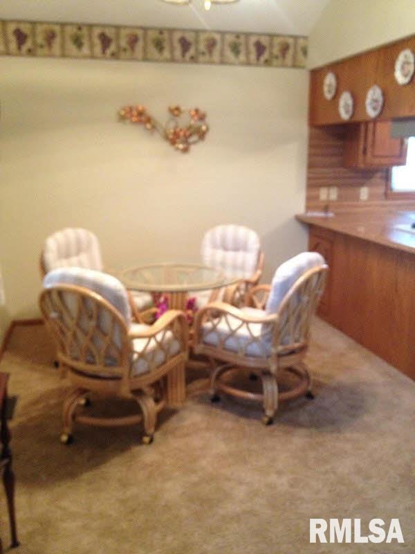 11699 Spowart Road West Frankfort, IL 62896 - Photo 8 of 12 Gallery Image 8