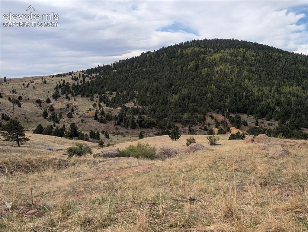 613 South 3rd Street Victor, CO 80860 - Photo 8 of 20