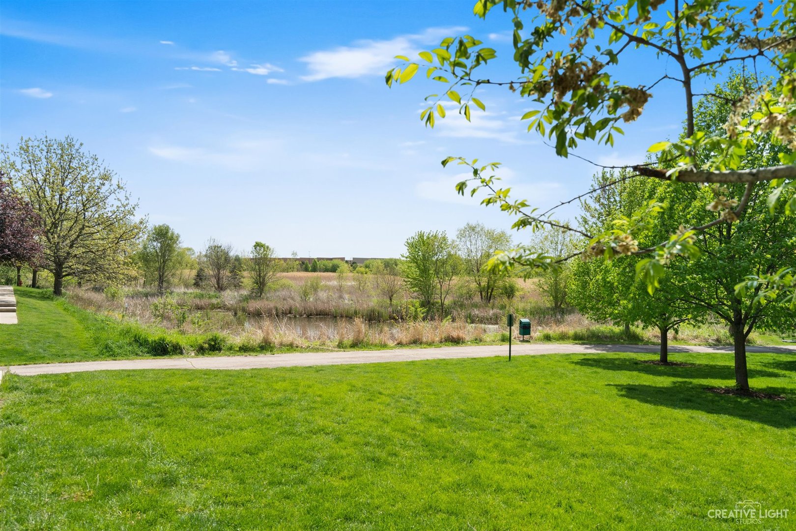 1005 Crane Point Elgin, IL 60124 - Photo 17 of 18 a view of a city