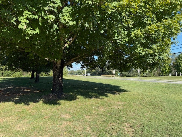 2000 Fairview Boulevard Fairview, TN 37062 - Photo 35 of 35 a view of backyard with green space