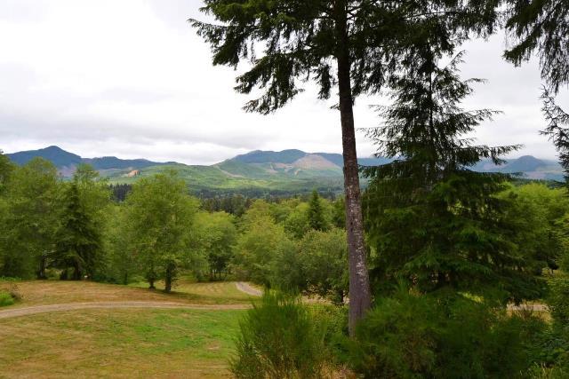 53 Nehalem Or 97131 Nehalem, OR 97131 - Photo 14 of 15 Trees&View