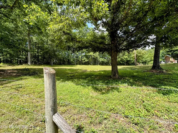 a view of a garden with an outdoor space