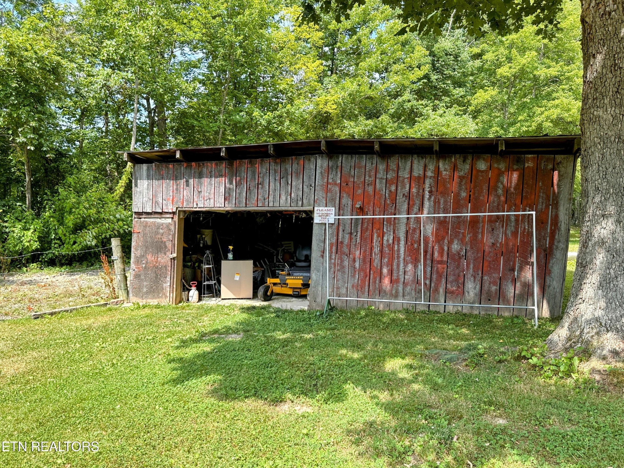 1065 Star Point Road Jamestown, TN 38556 - Photo 38 of 40 a view of a backyard with plants and large trees
