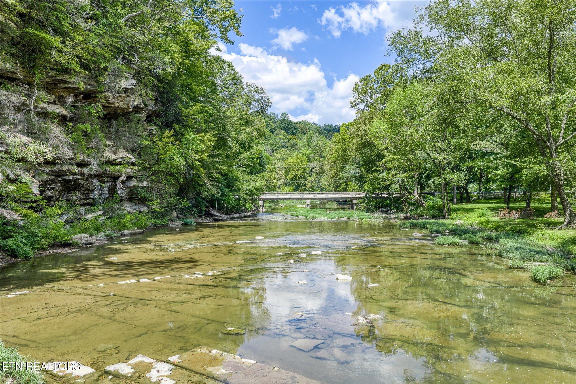 204 Burntmill Ford Road Byrdstown, TN 38549 - Photo 11 of 60 17-204 Burntmill Ford Rd_084_TNPC