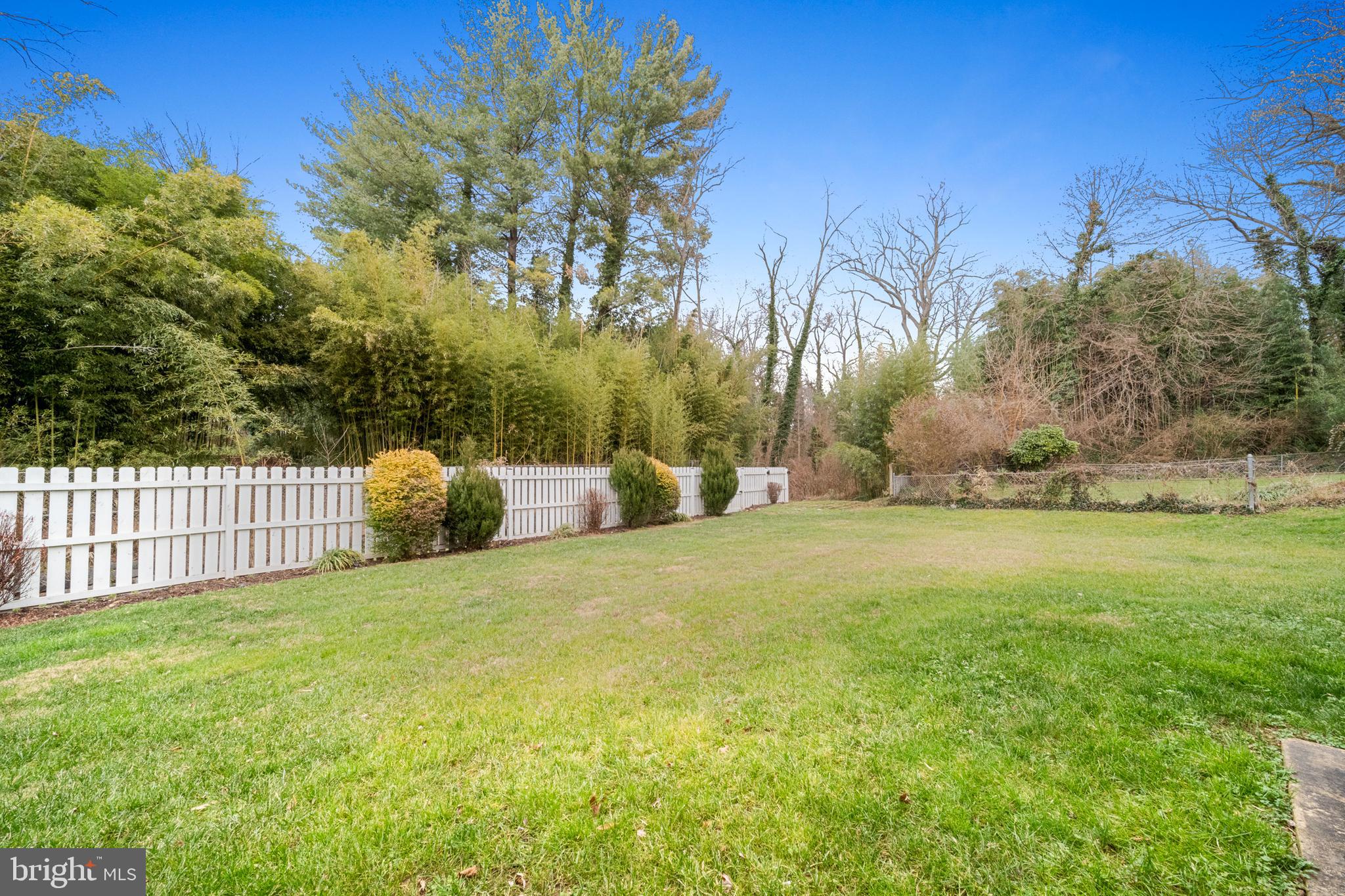 10600 Springmann Drive Fairfax, VA 22030 - Photo 75 of 78 Backyard