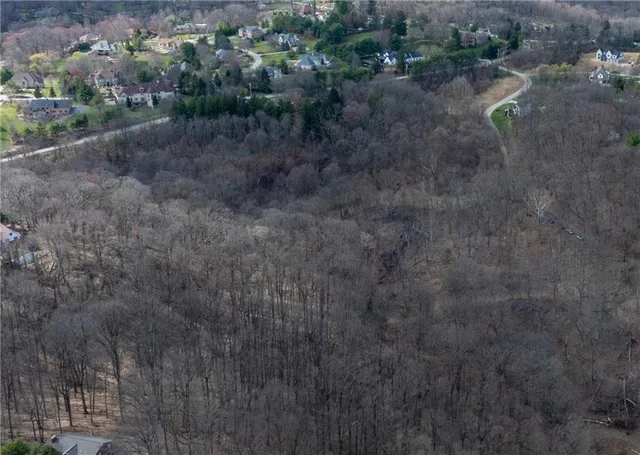 a view of a dry yard with green space