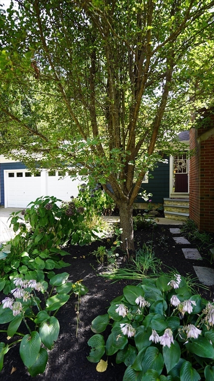 463 Ledge Road Seekonk, MA 02771 - Photo 5 of 40 Gallery Image 5