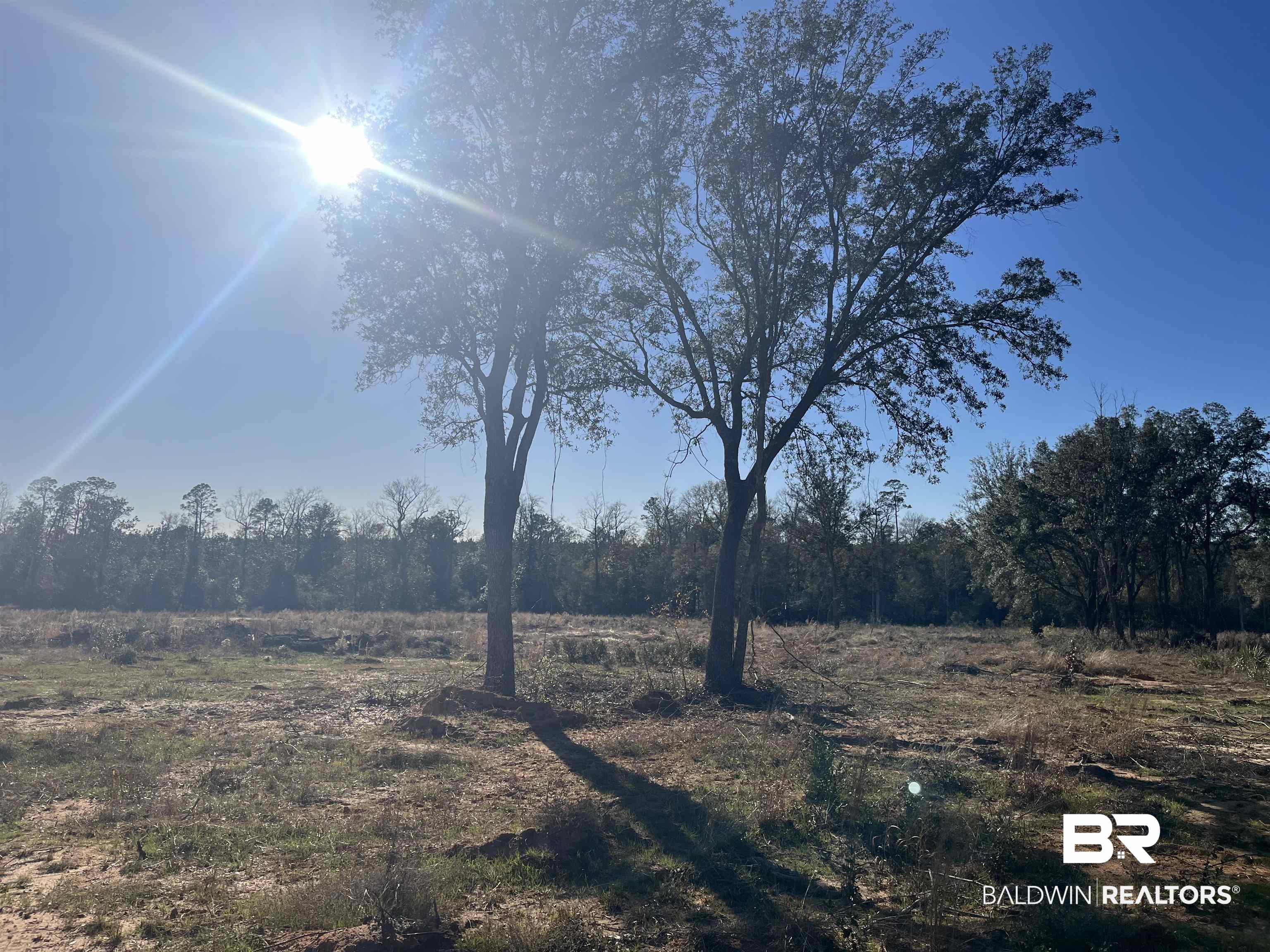 0 Lechner Road Robertsdale, AL 36567 - Photo 11 of 13