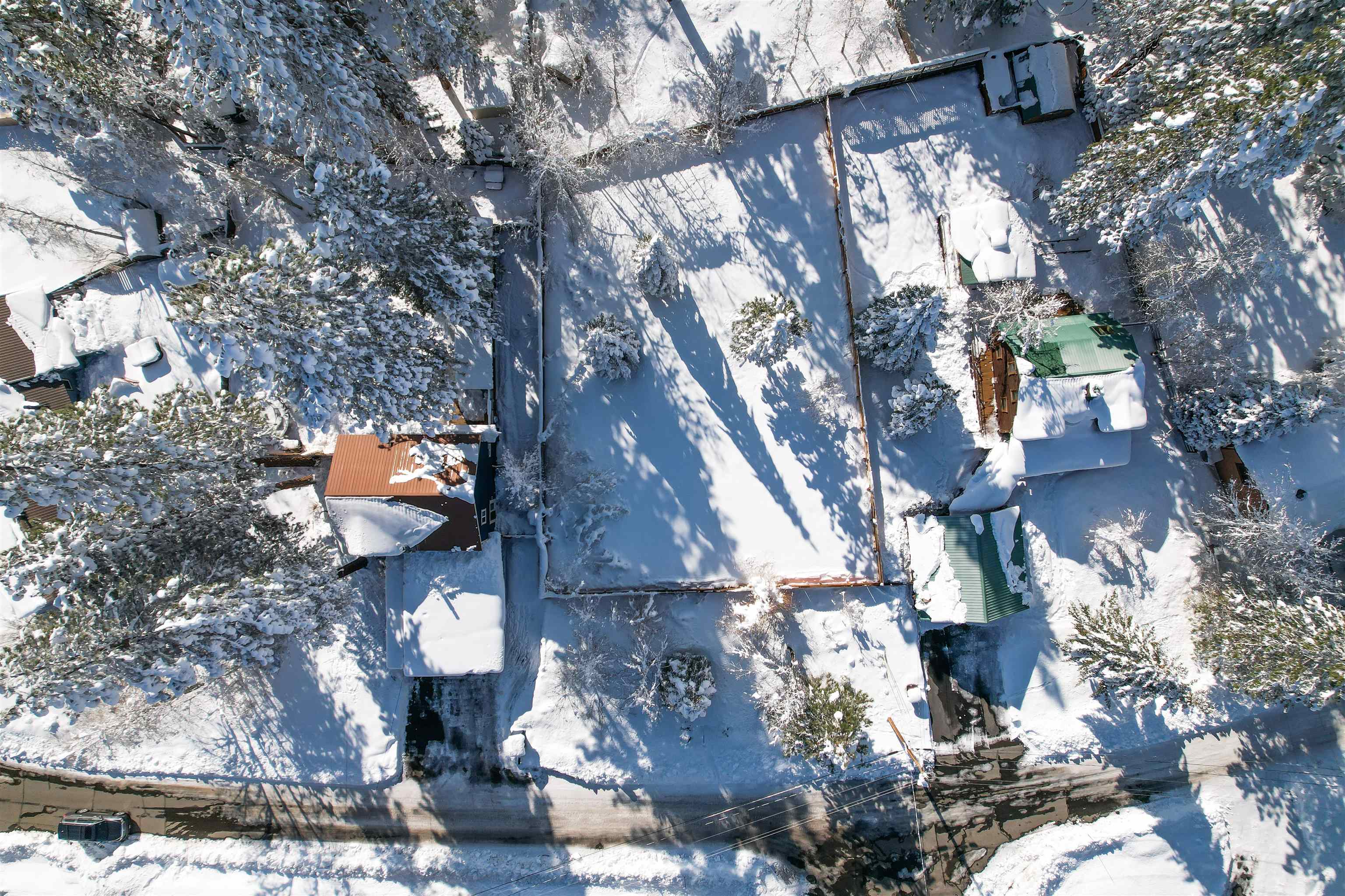 15760 Archery View Truckee, CA 96161 - Photo 13 of 21 a backyard of a house with large trees