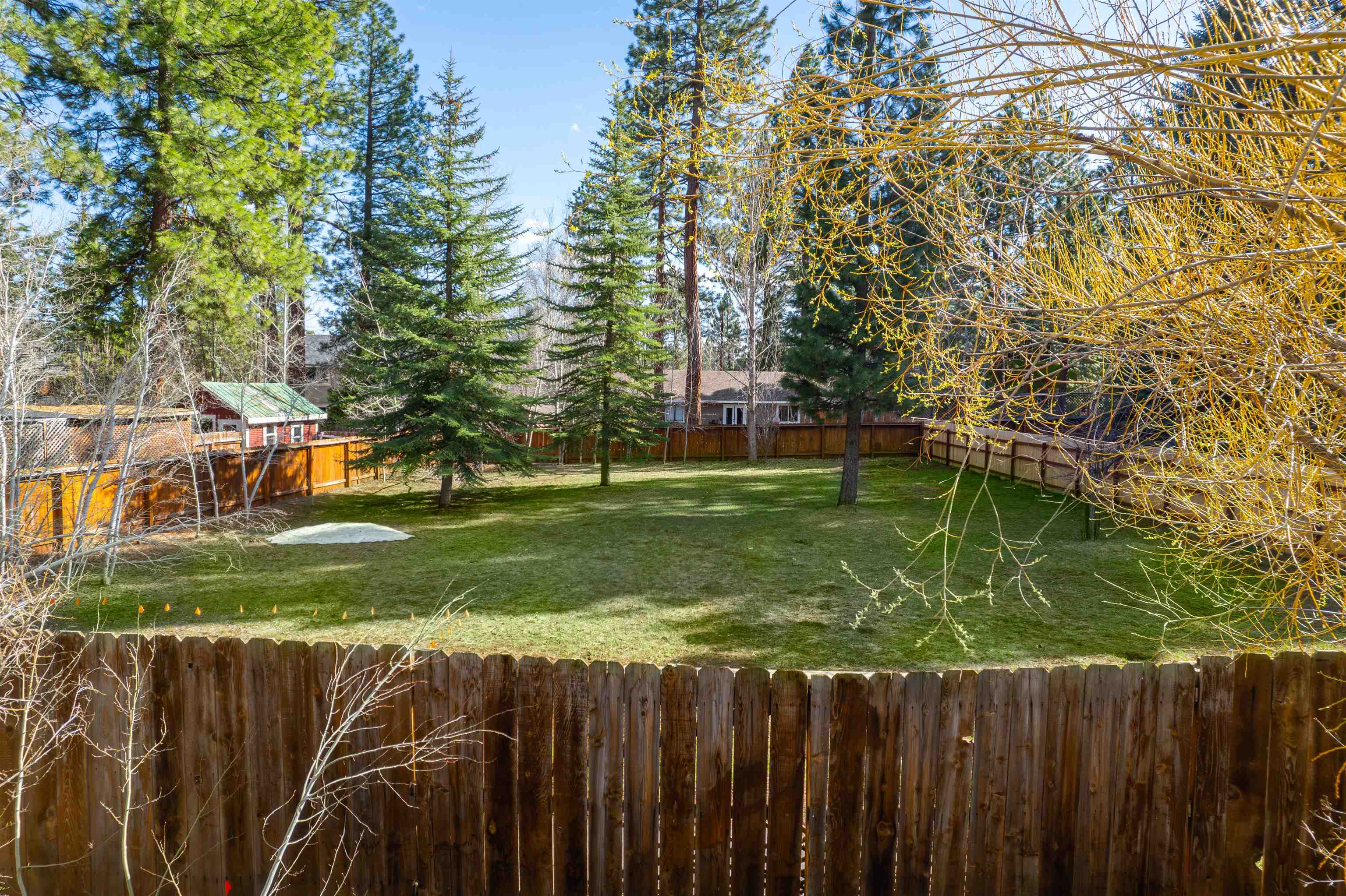 15760 Archery View Truckee, CA 96161 - Photo 9 of 21 a view of a park with large trees