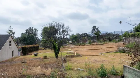 a view of a yard with a tree