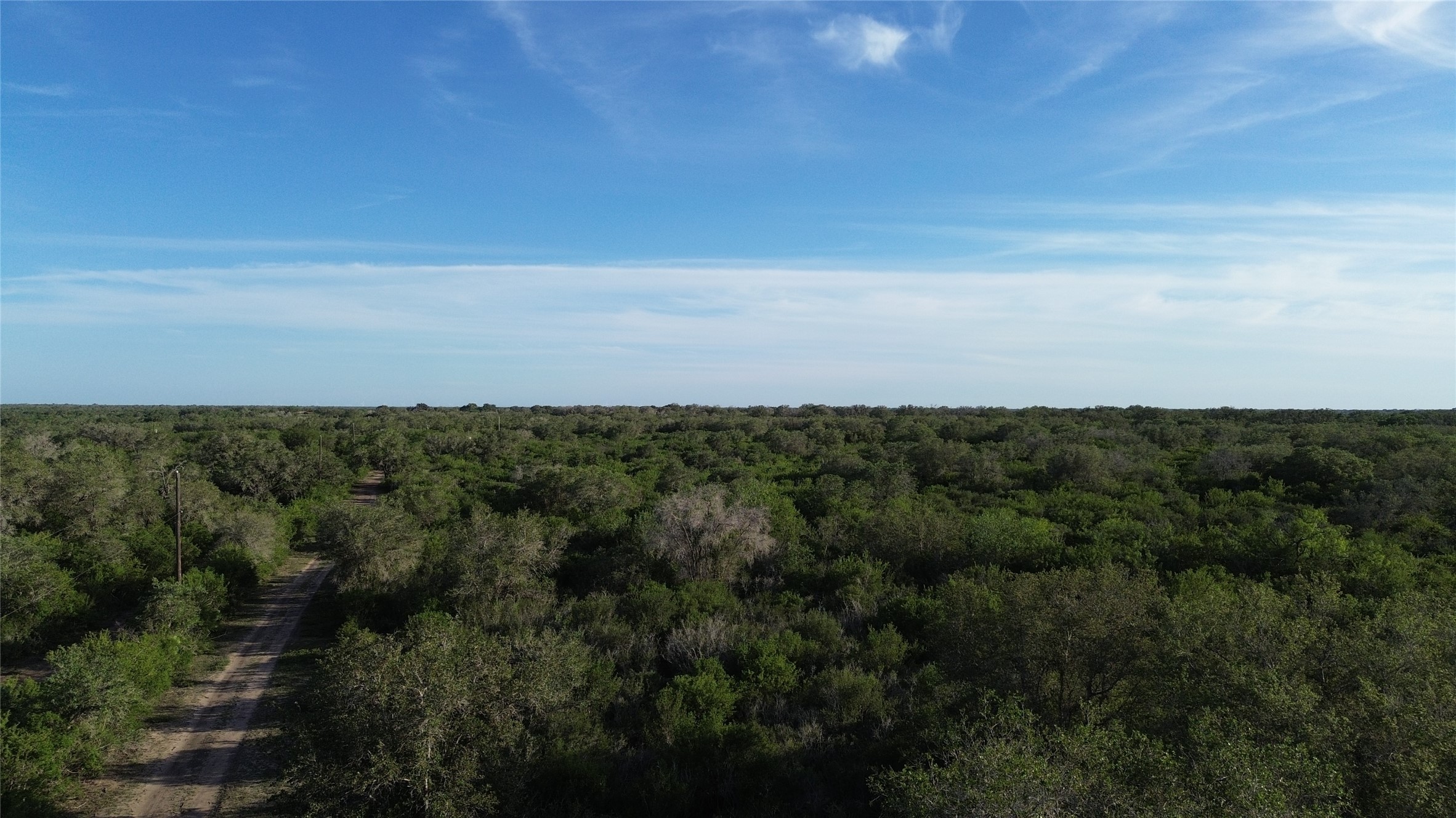 6104 Lucas Road Goliad, TX 77963 - Photo 18 of 32