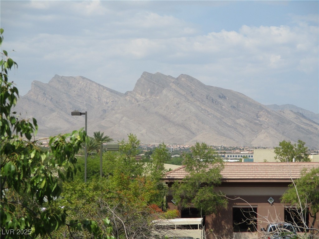 1001 Domnus Lane, Unit 203 Las Vegas, NV 89144 - Photo 10 of 21