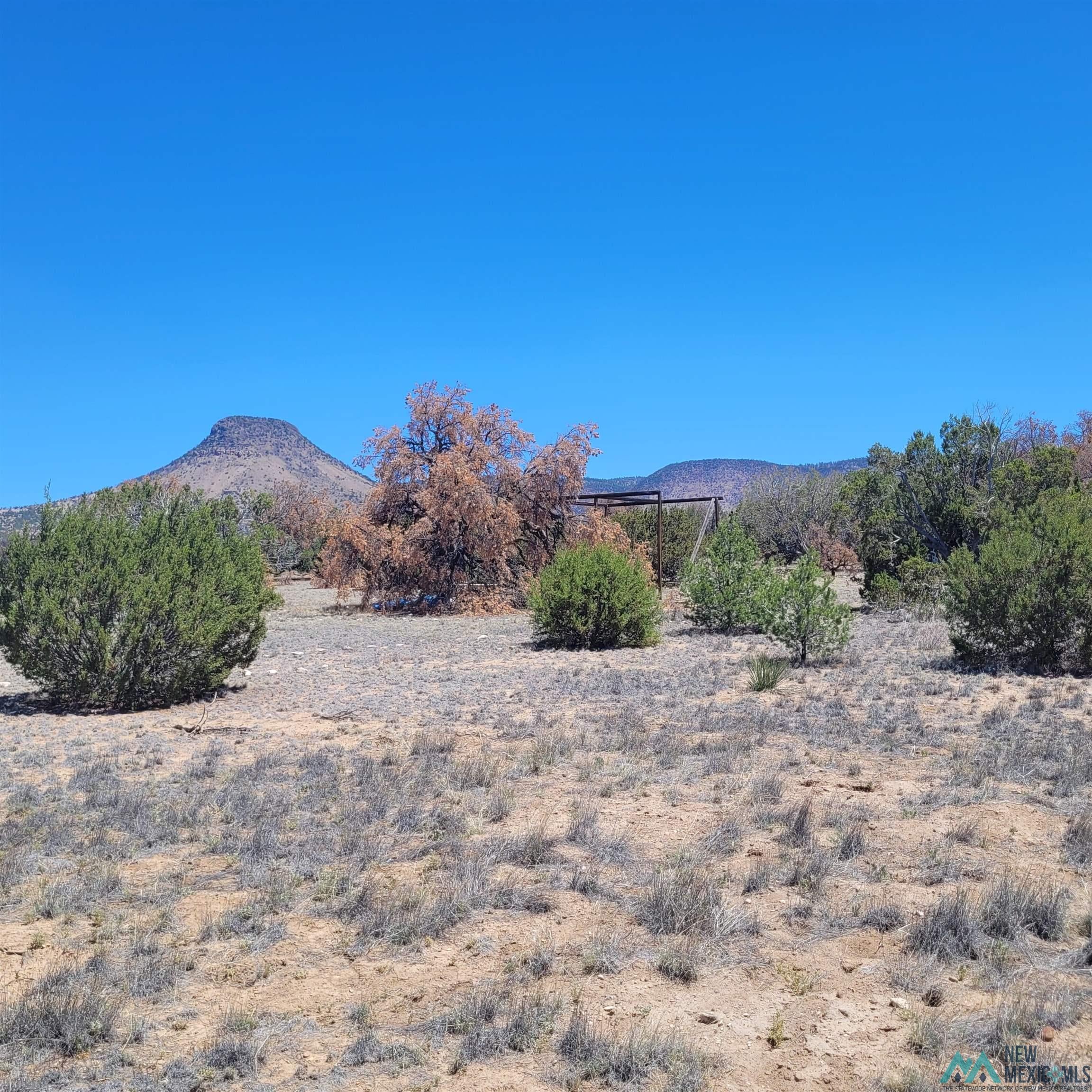 47 Southern Trail, Unit 48 47 Datil, NM 87821 - Photo 21 of 46 Gallery Image 21
