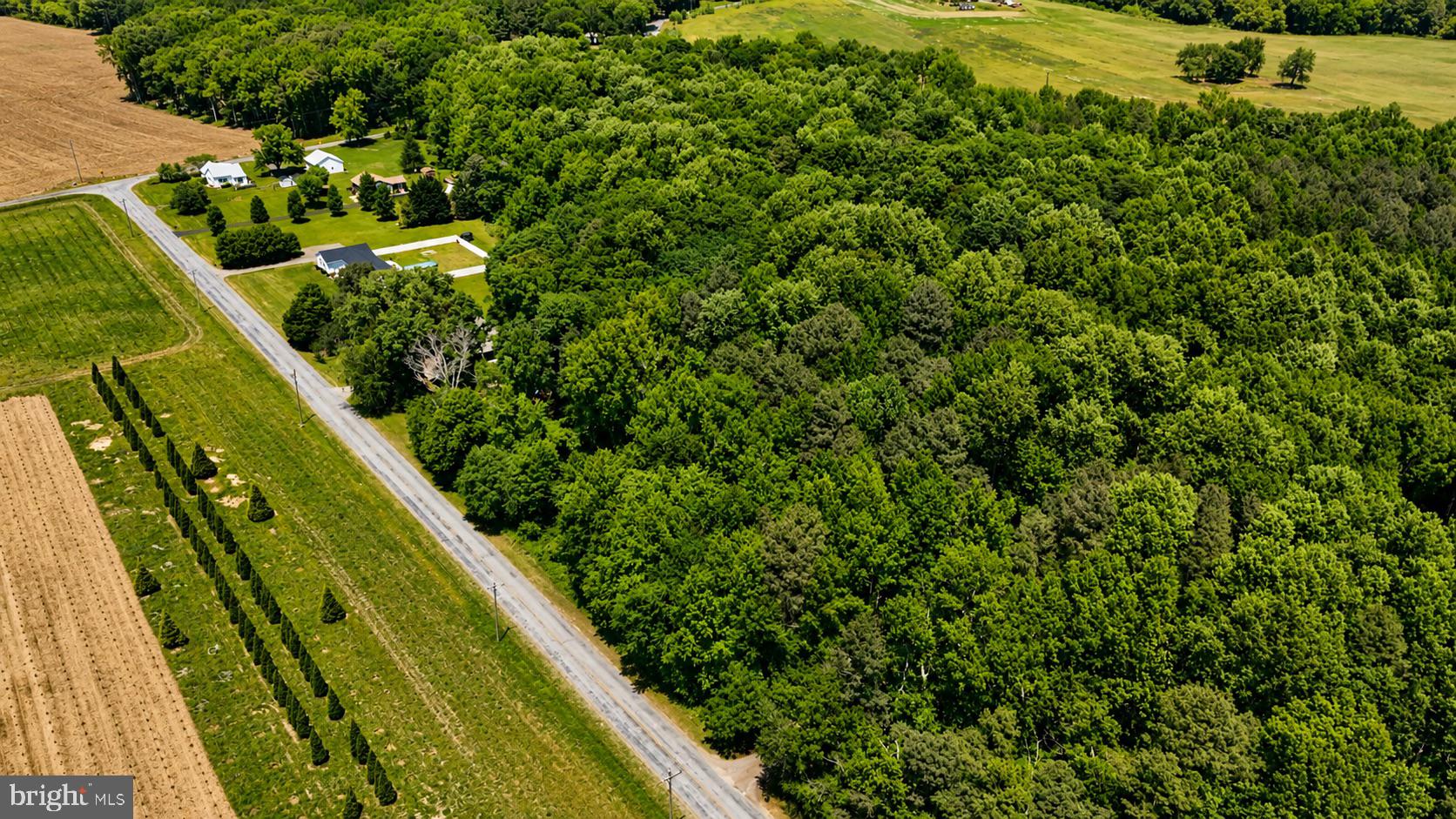 Havercamp Road Preston, MD 21655 - Photo 2 of 6