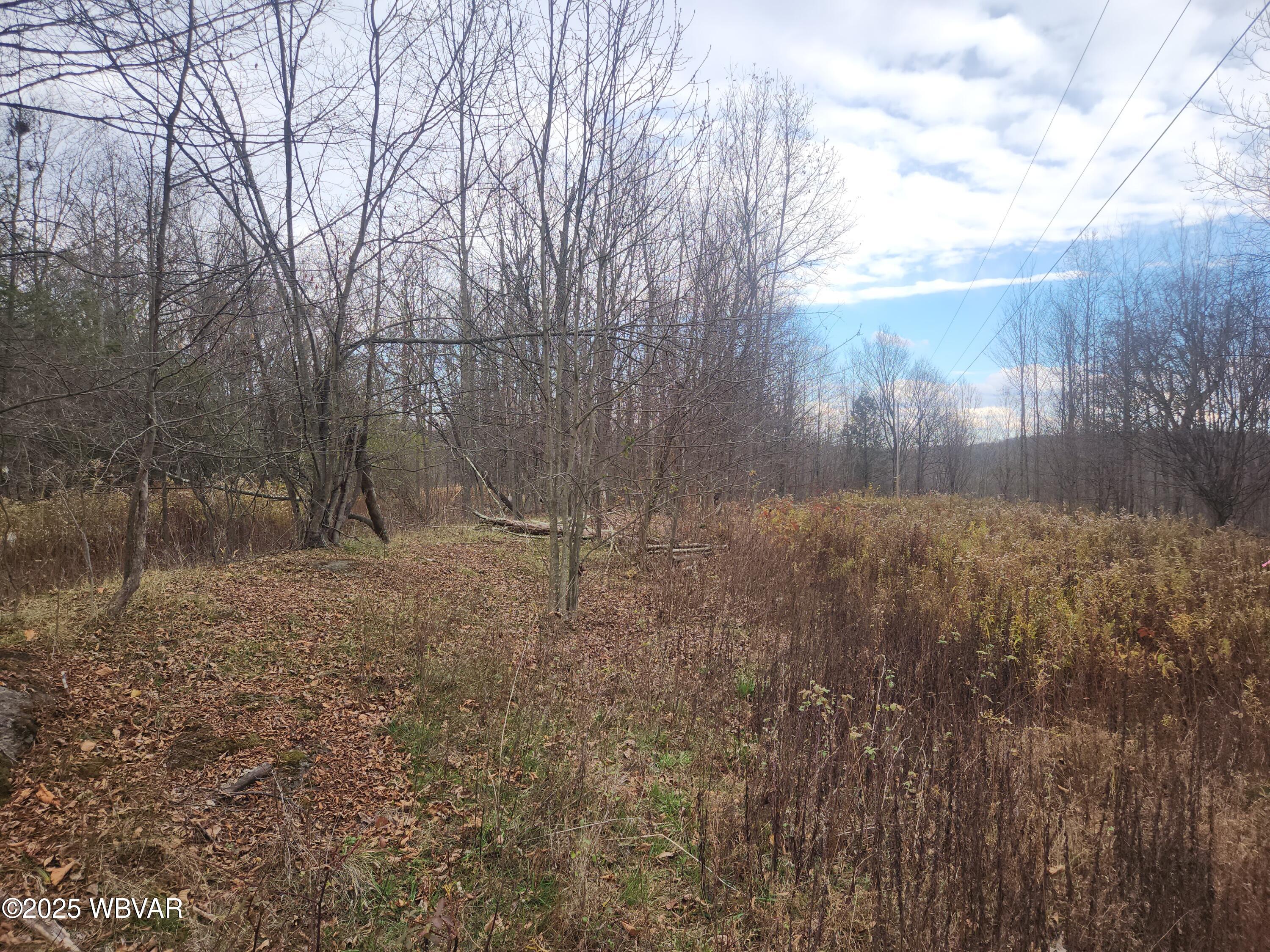 1750 Murphy Road New Albany, PA 18833 - Photo 1 of 8 View