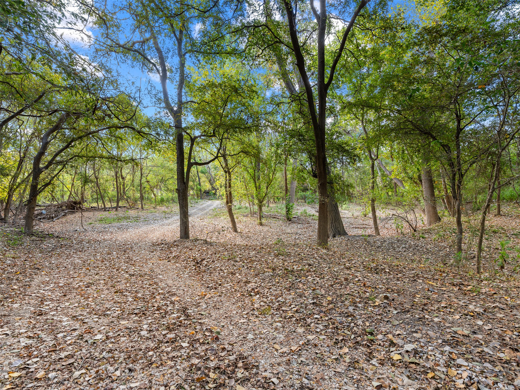 3 Highway 90 Harwood, TX 78632 - Photo 15 of 33 a view of outdoor space with trees