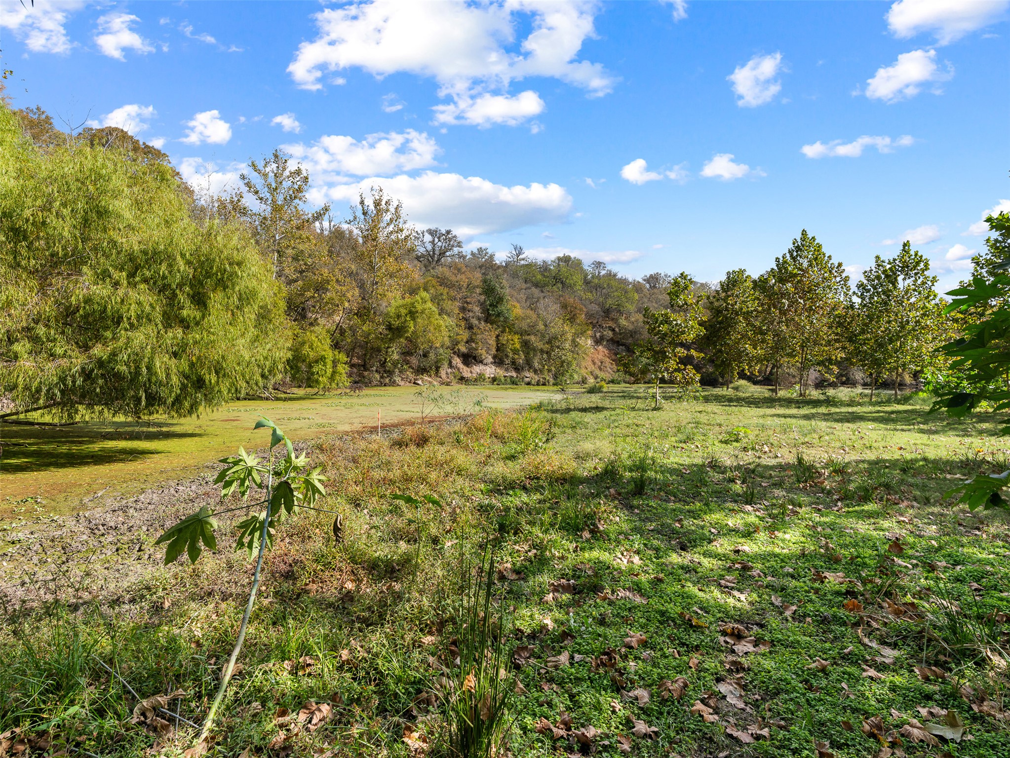3 Highway 90 Harwood, TX 78632 - Photo 19 of 33 a view of a field with an trees