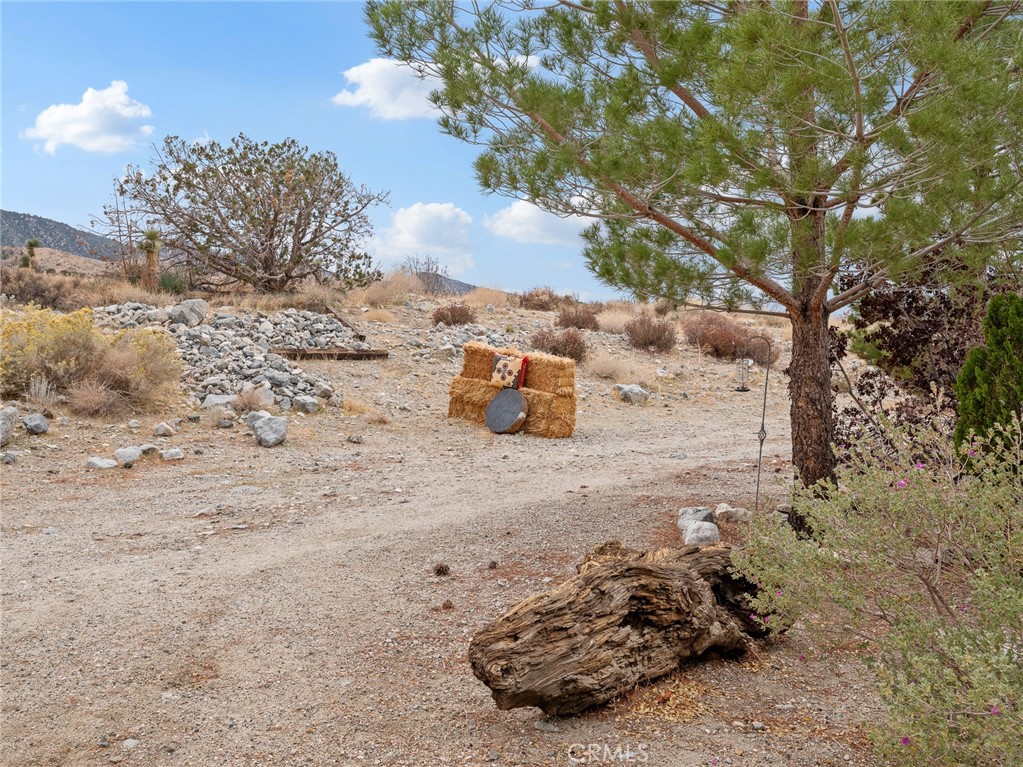 10160 Pineview Road Pinon Hills, CA 92372 - Photo 36 of 46 a view of a dry yard with wooden fence
