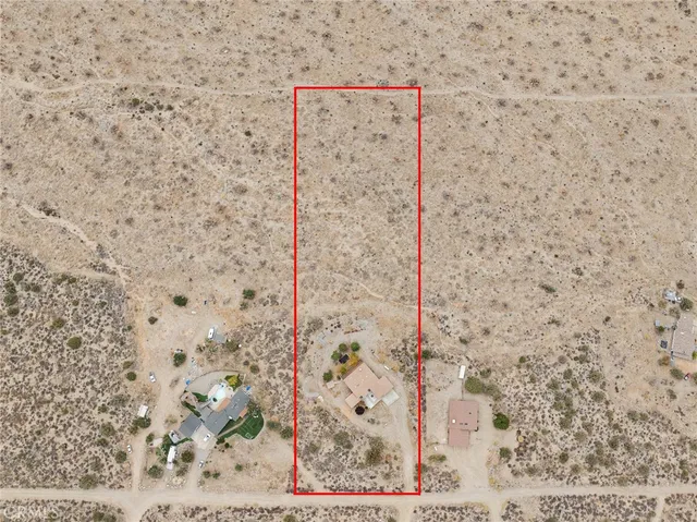 a view of a dry yard with hardwood