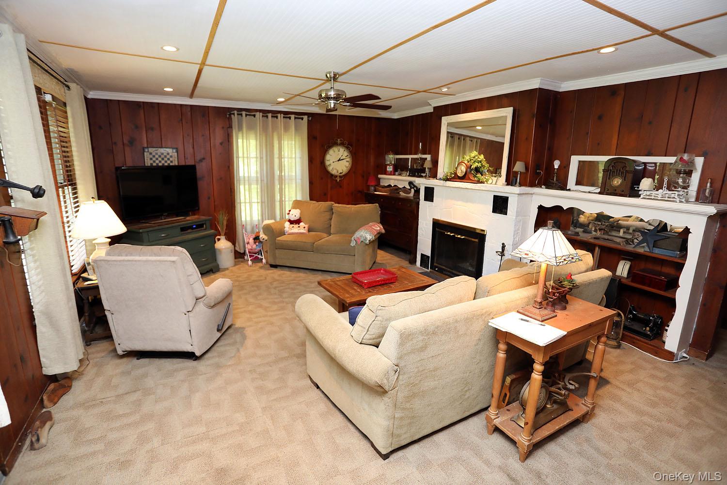 66 Raspberry Park Road Long Eddy, NY 12760 - Photo 20 of 36 Living area with a glass covered fireplace, light carpet, recessed lighting, a ceiling fan, and wooden walls