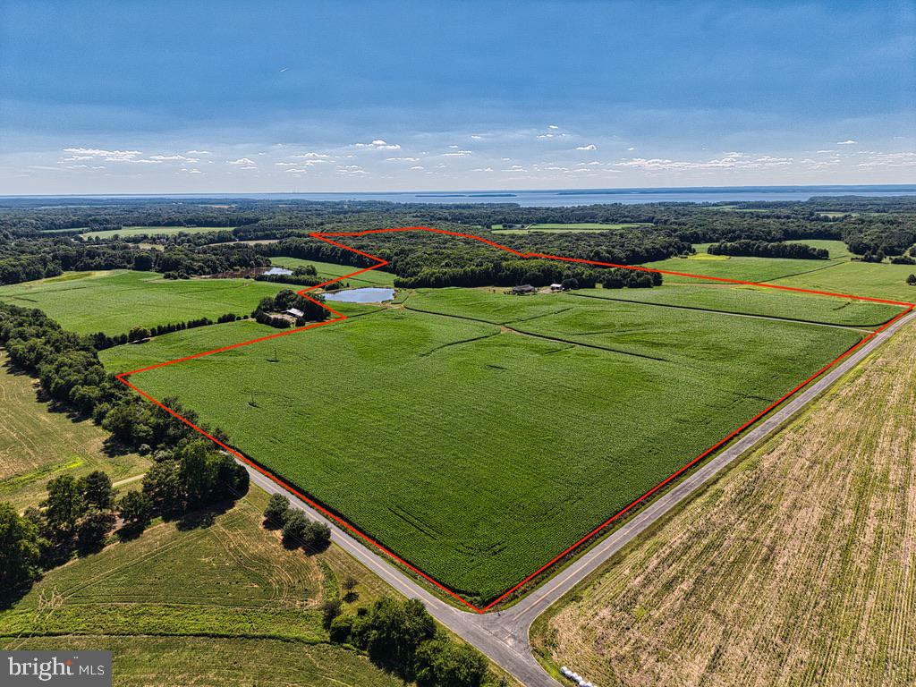 11500 Possum Hollow Road Worton, MD 21678 - Photo 13 of 81
