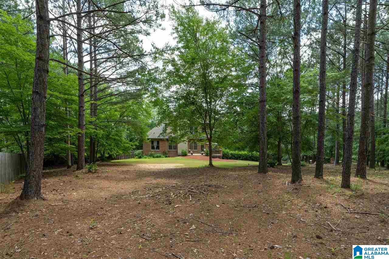1051 Kingston Road Chelsea, AL 35043 - Photo 42 of 50