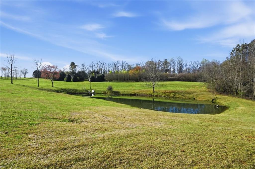 7755 Blacks Mill Road Dawsonville, GA 30534 - Photo 5 of 9