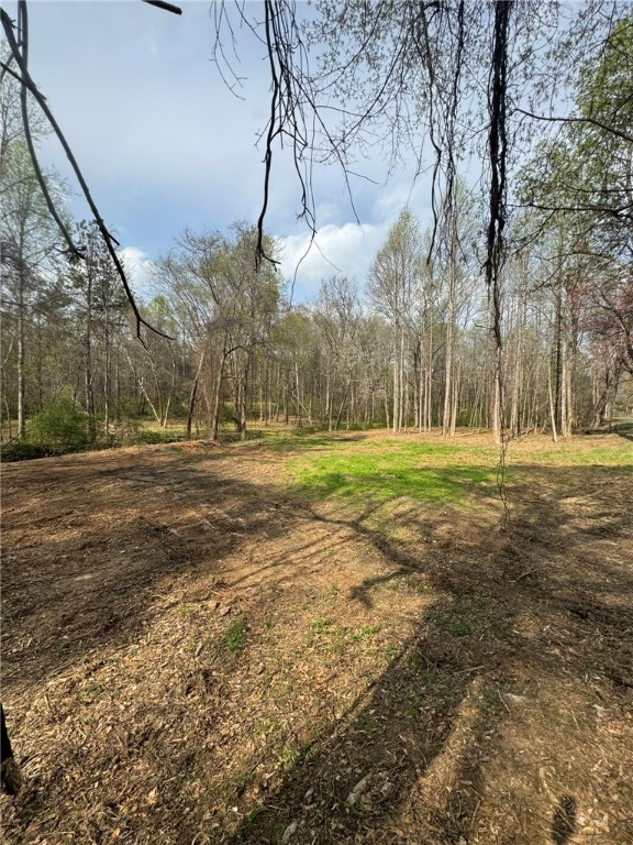 188 North Watson Road Easley, SC 29642 - Photo 8 of 15 Gallery Image 8