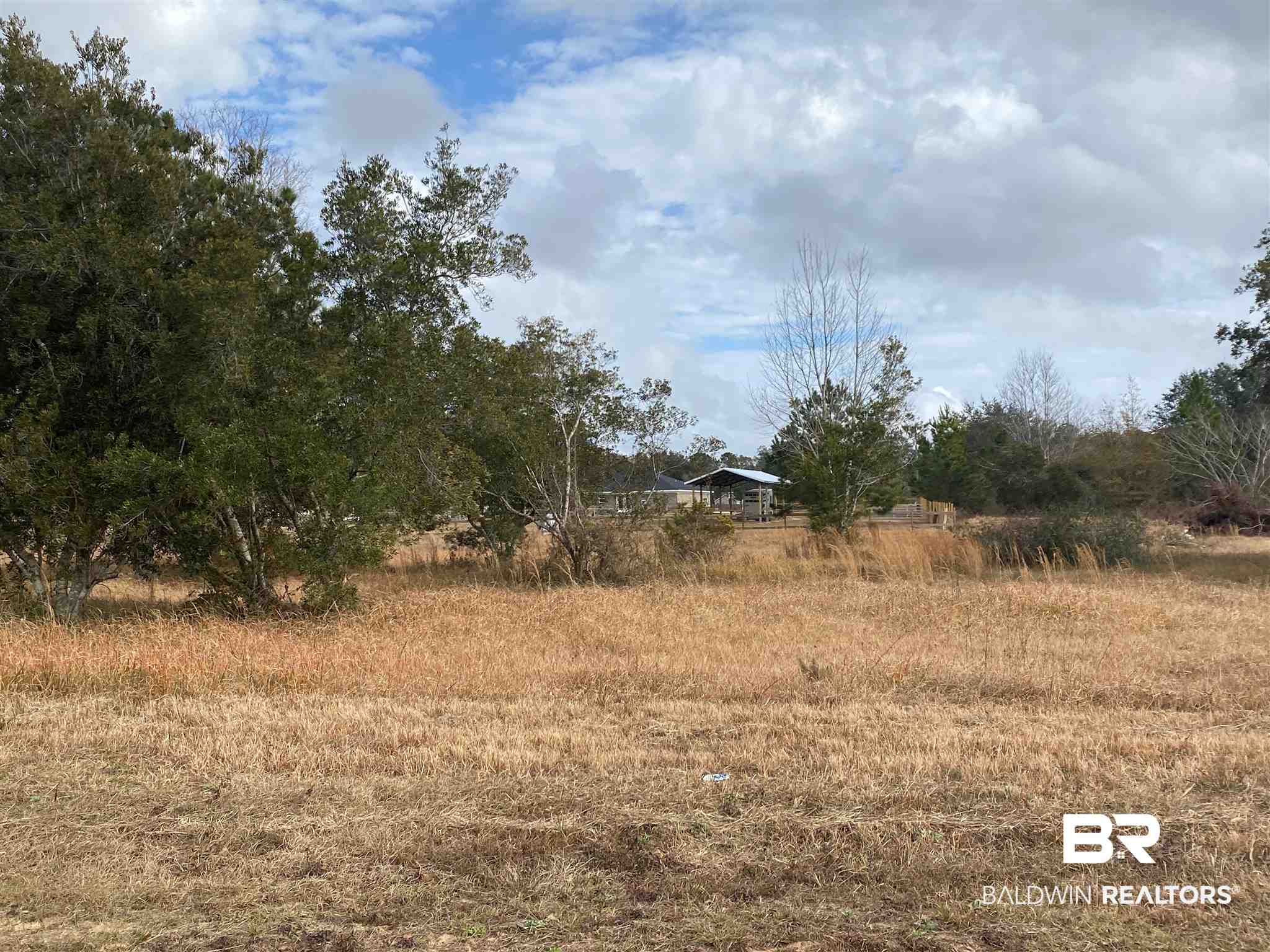 0 East Ranch Road Grand Bay, AL 36541 - Photo 2 of 3