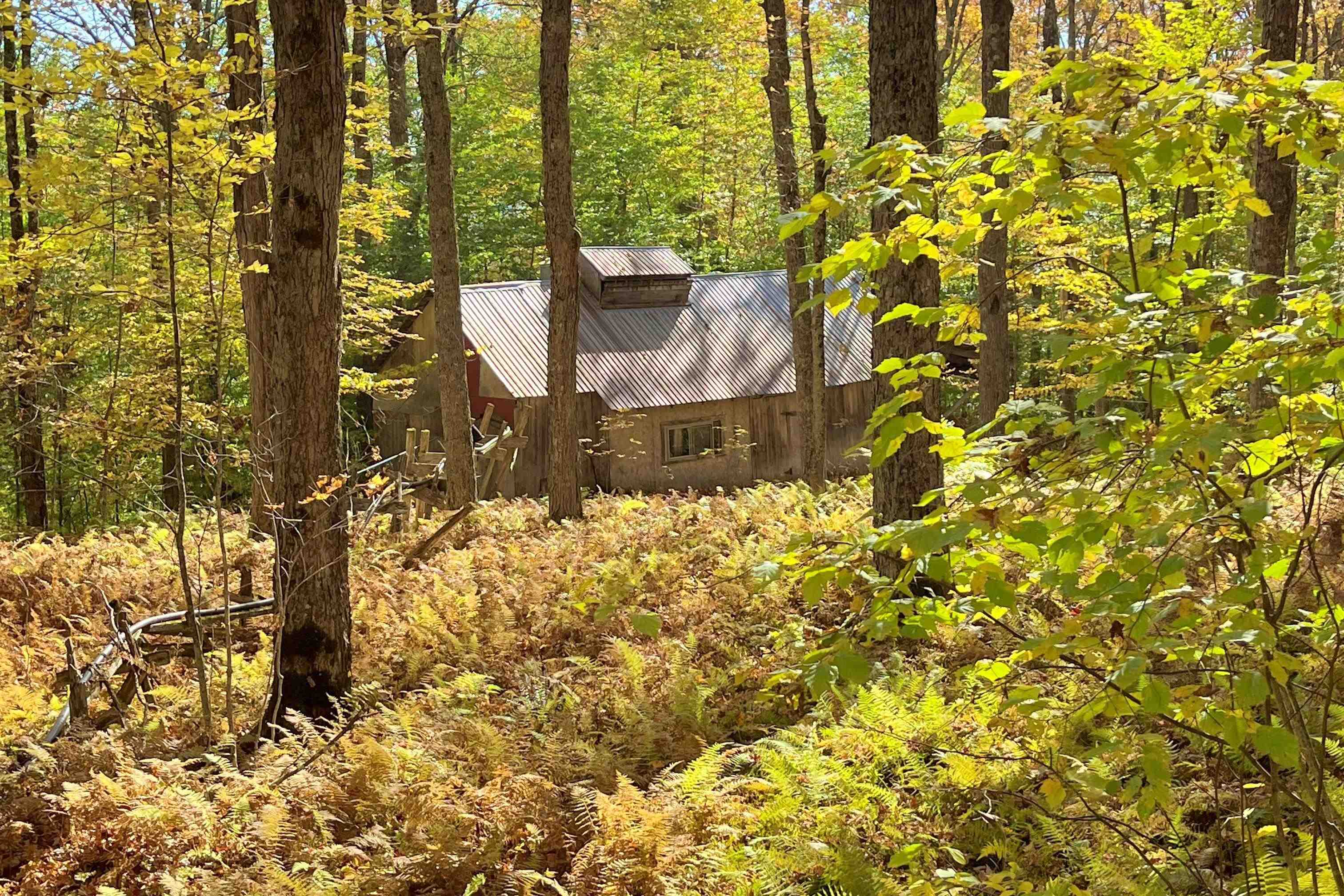 0 King Road Barton, VT 05875 - Photo 13 of 19