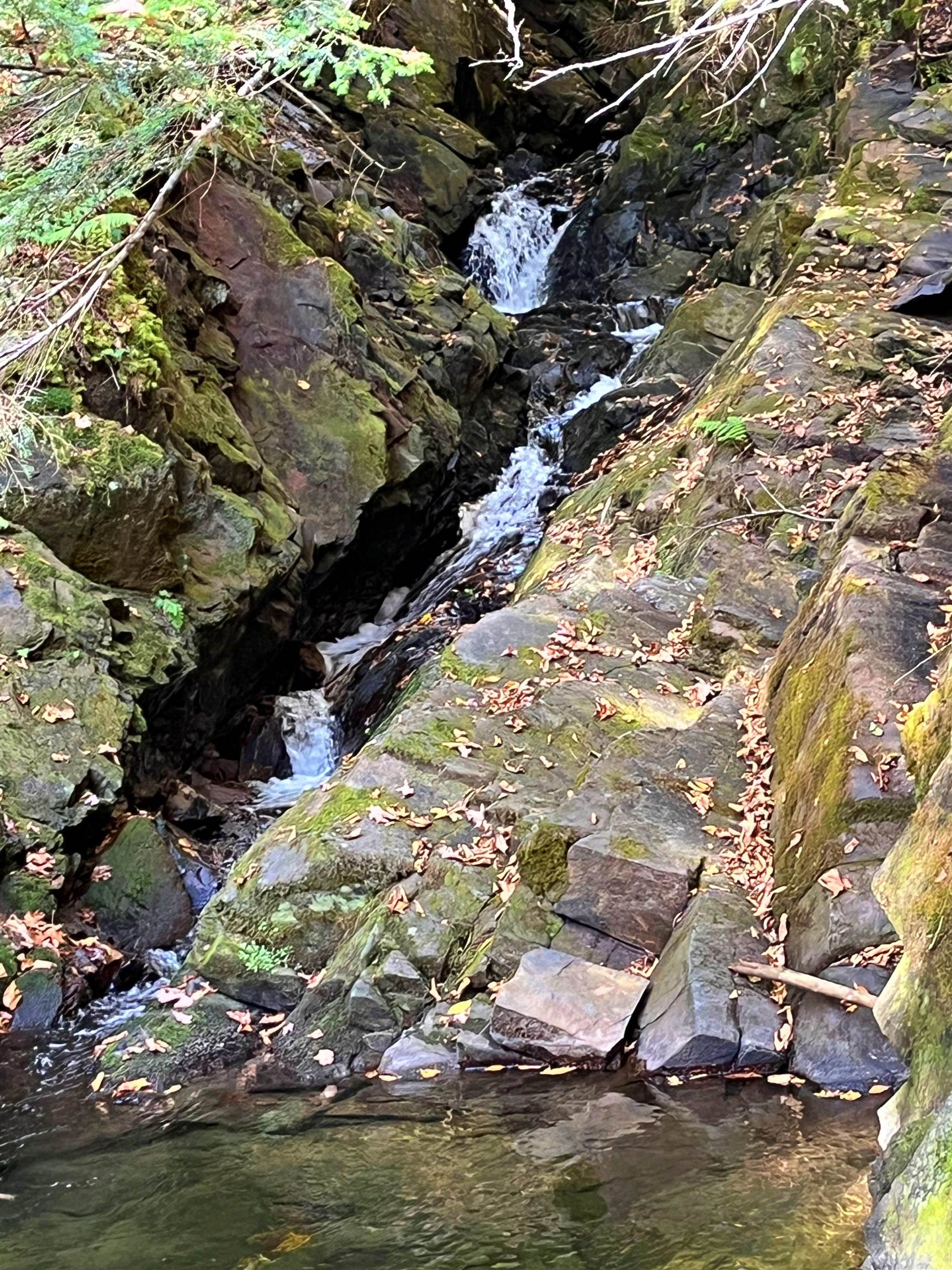 0 King Road Barton, VT 05875 - Photo 14 of 19