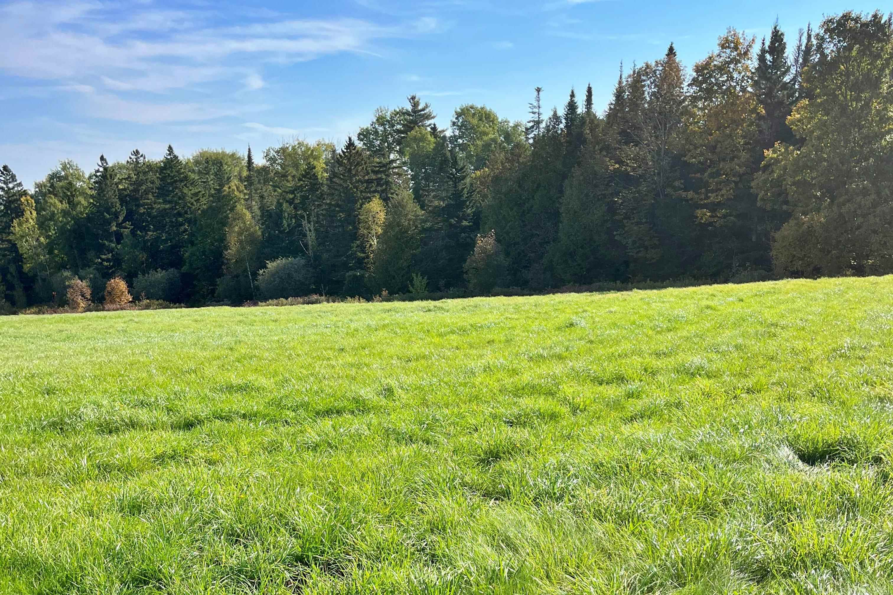 0 King Road Barton, VT 05875 - Photo 16 of 19