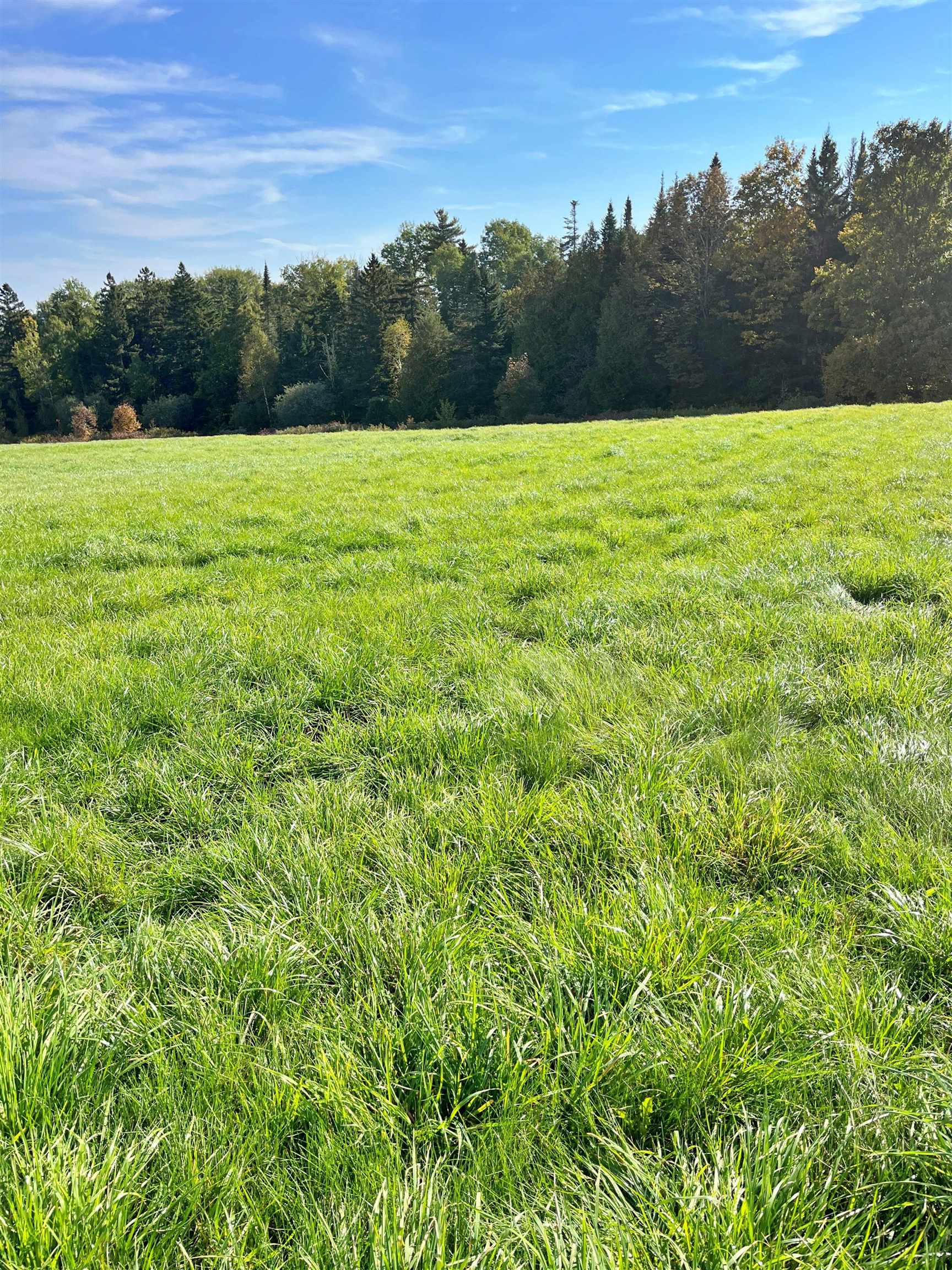 0 King Road Barton, VT 05875 - Photo 17 of 19