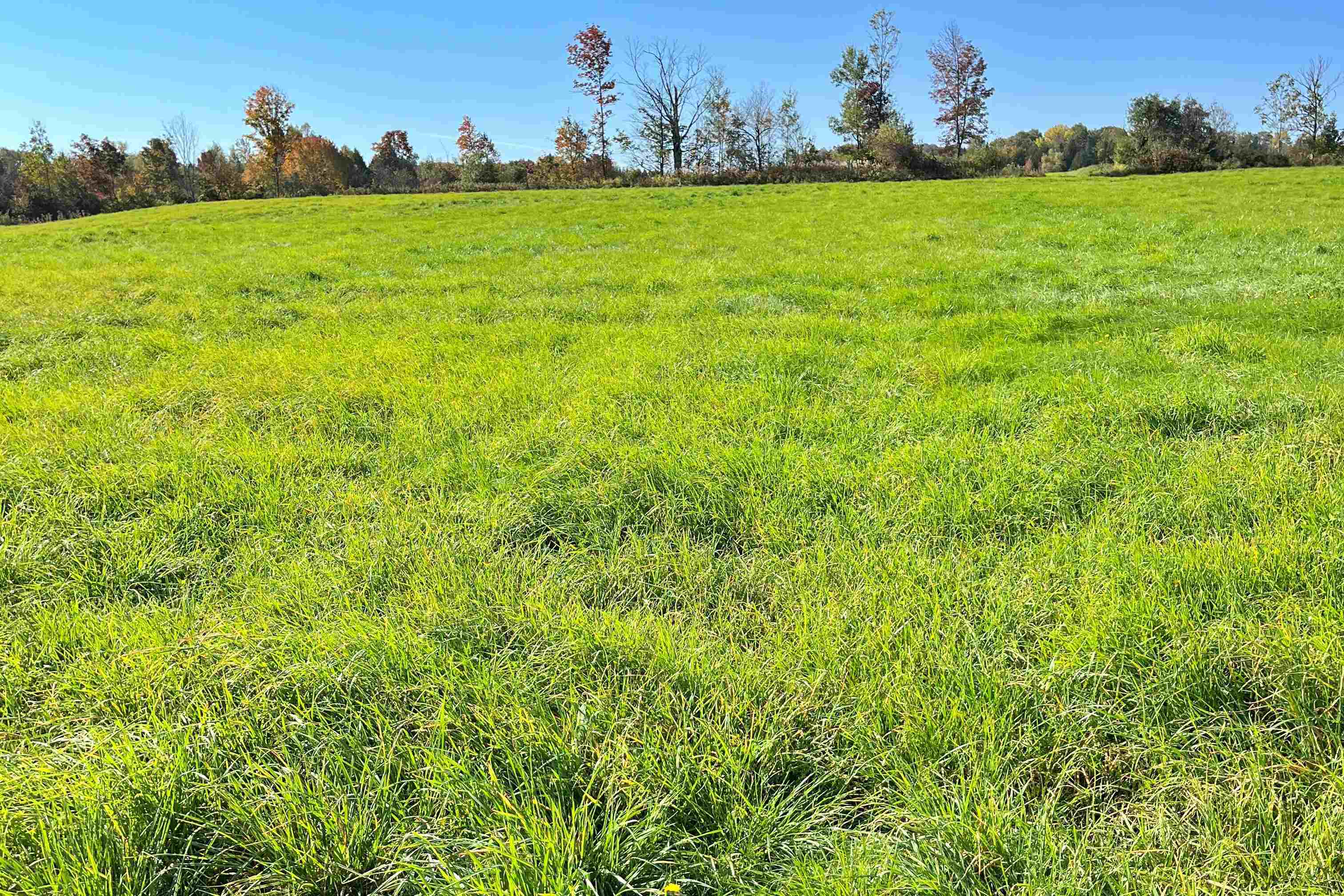 0 King Road Barton, VT 05875 - Photo 18 of 19