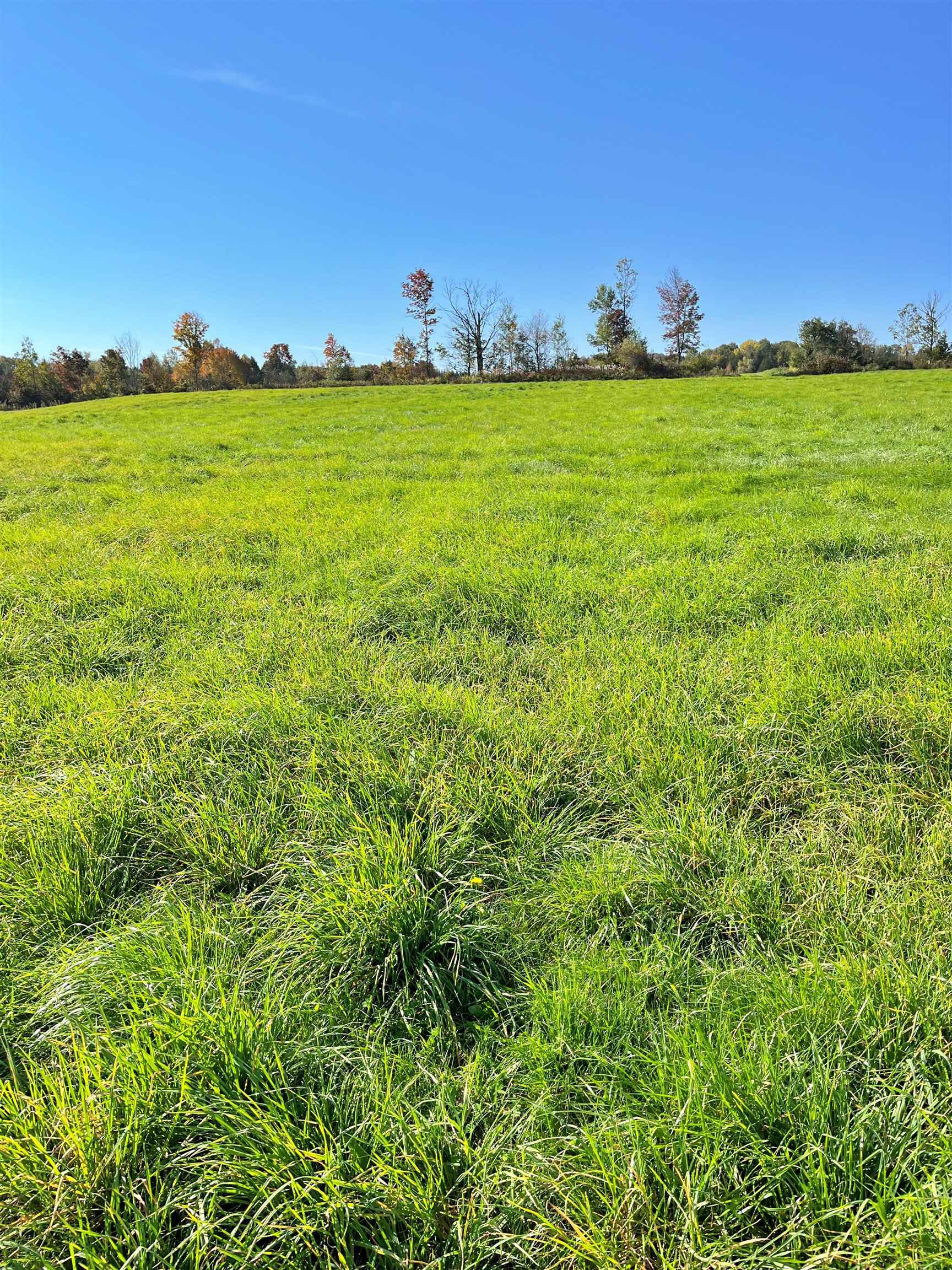 0 King Road Barton, VT 05875 - Photo 19 of 19