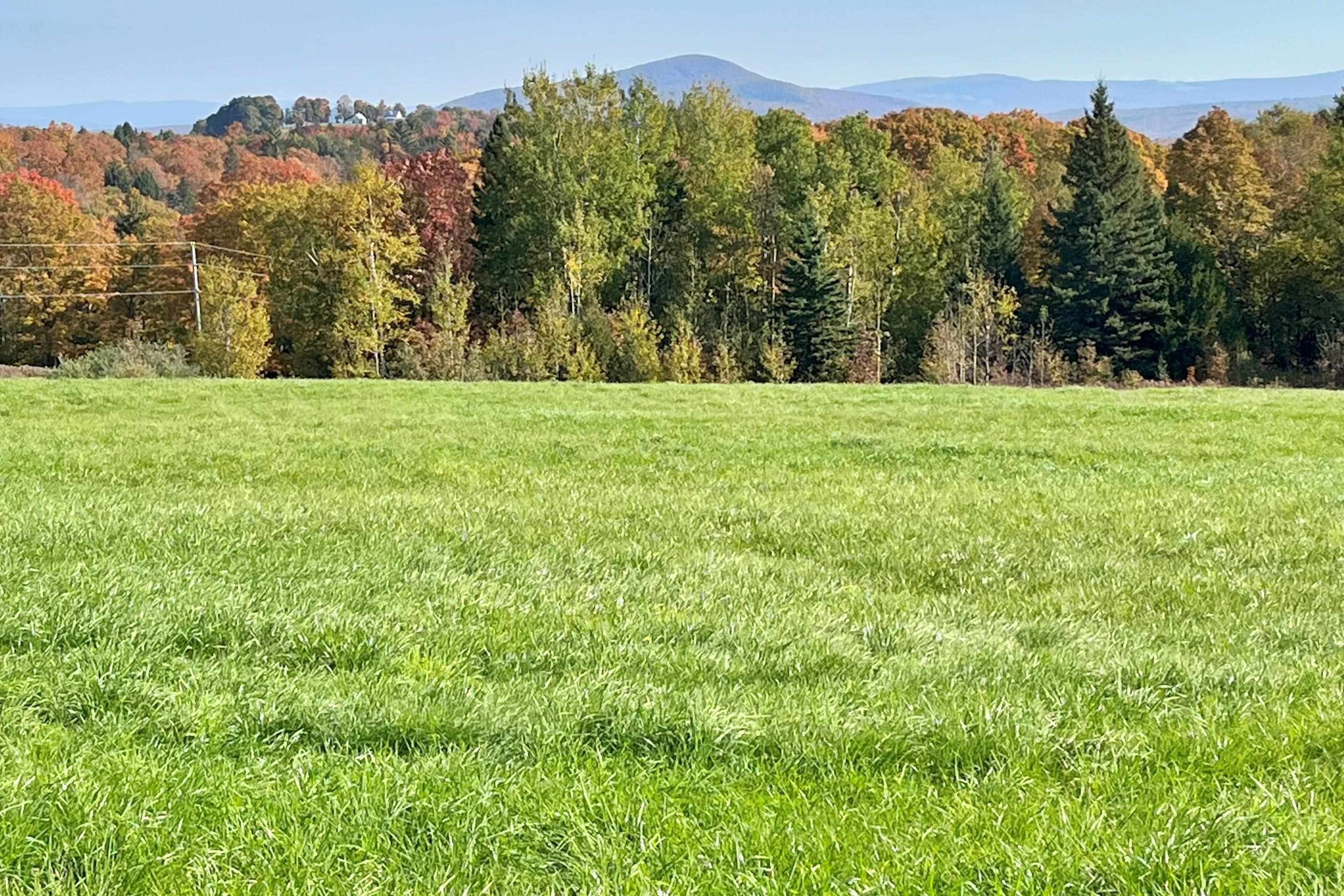 0 King Road Barton, VT 05875 - Photo 3 of 19