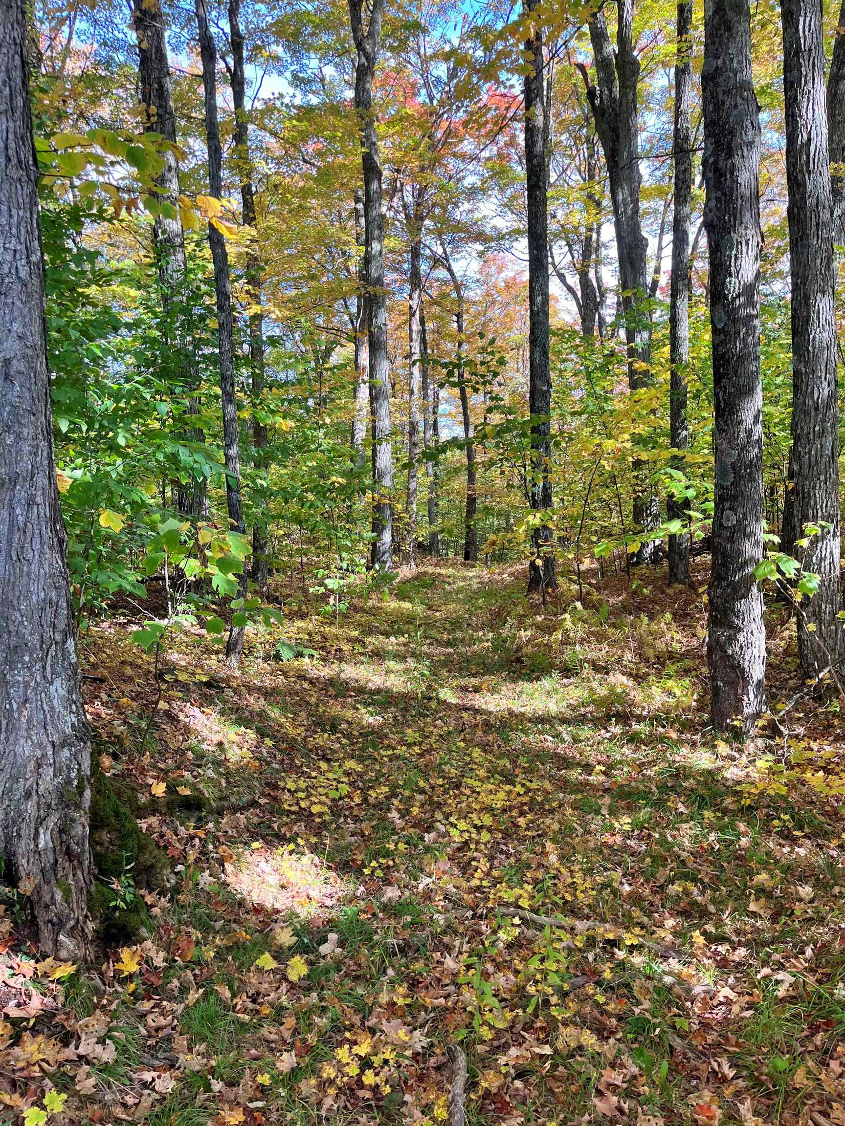0 King Road Barton, VT 05875 - Photo 6 of 19
