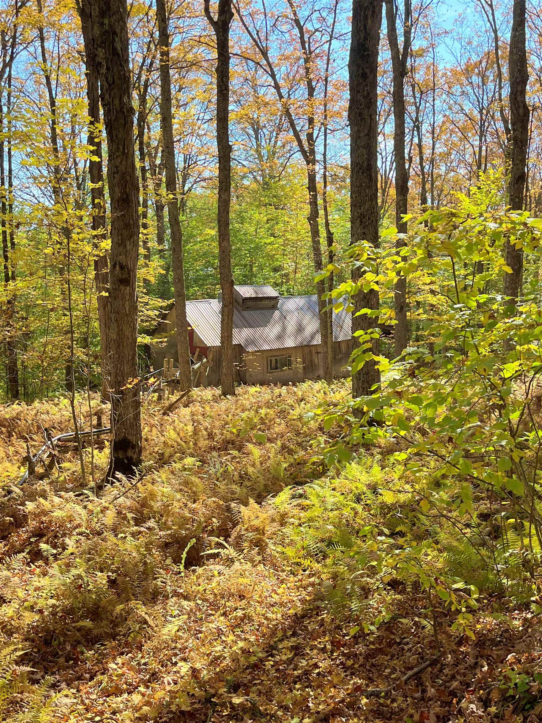 0 King Road Barton, VT 05875 - Photo 7 of 19