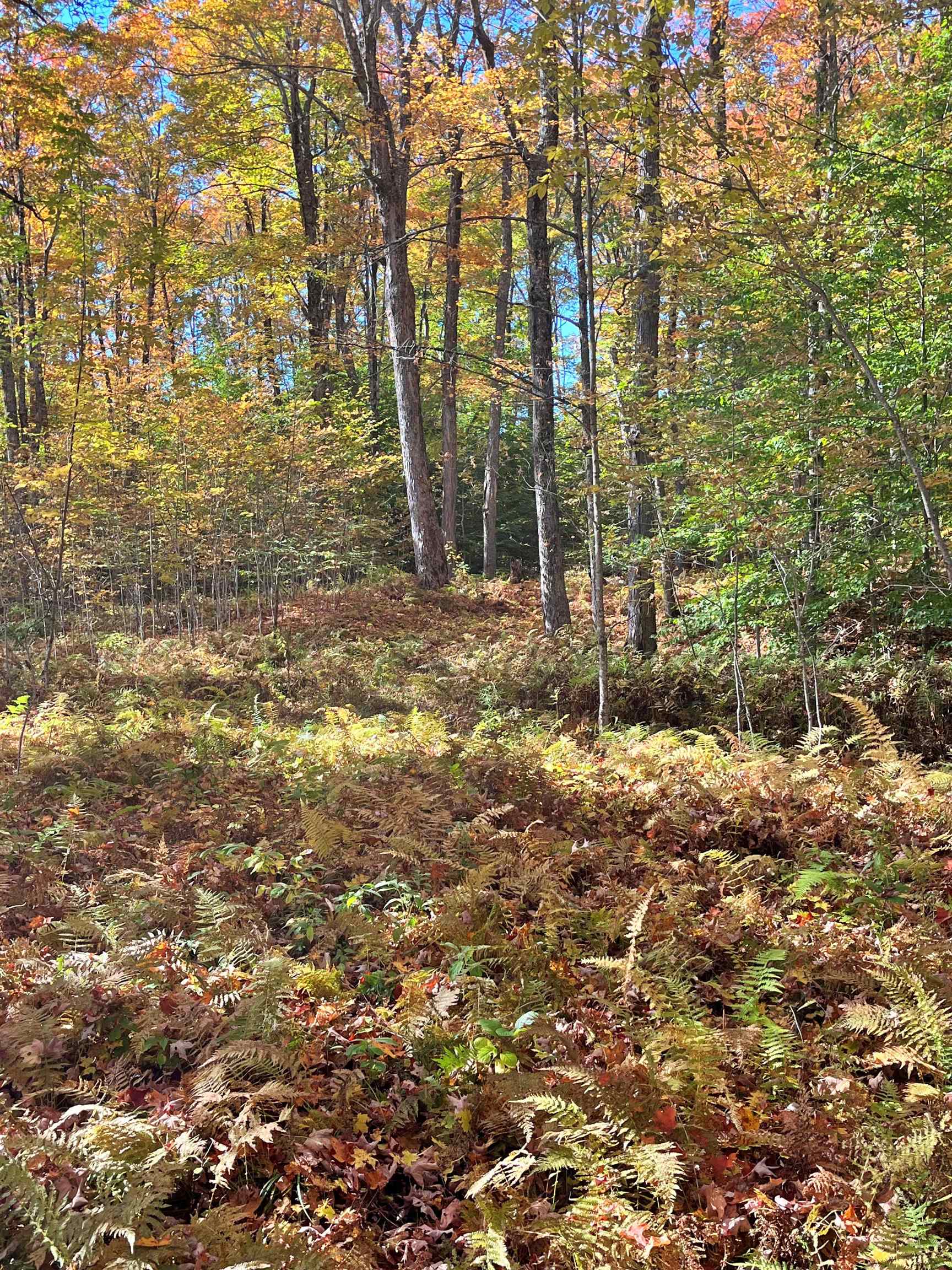 0 King Road Barton, VT 05875 - Photo 8 of 19