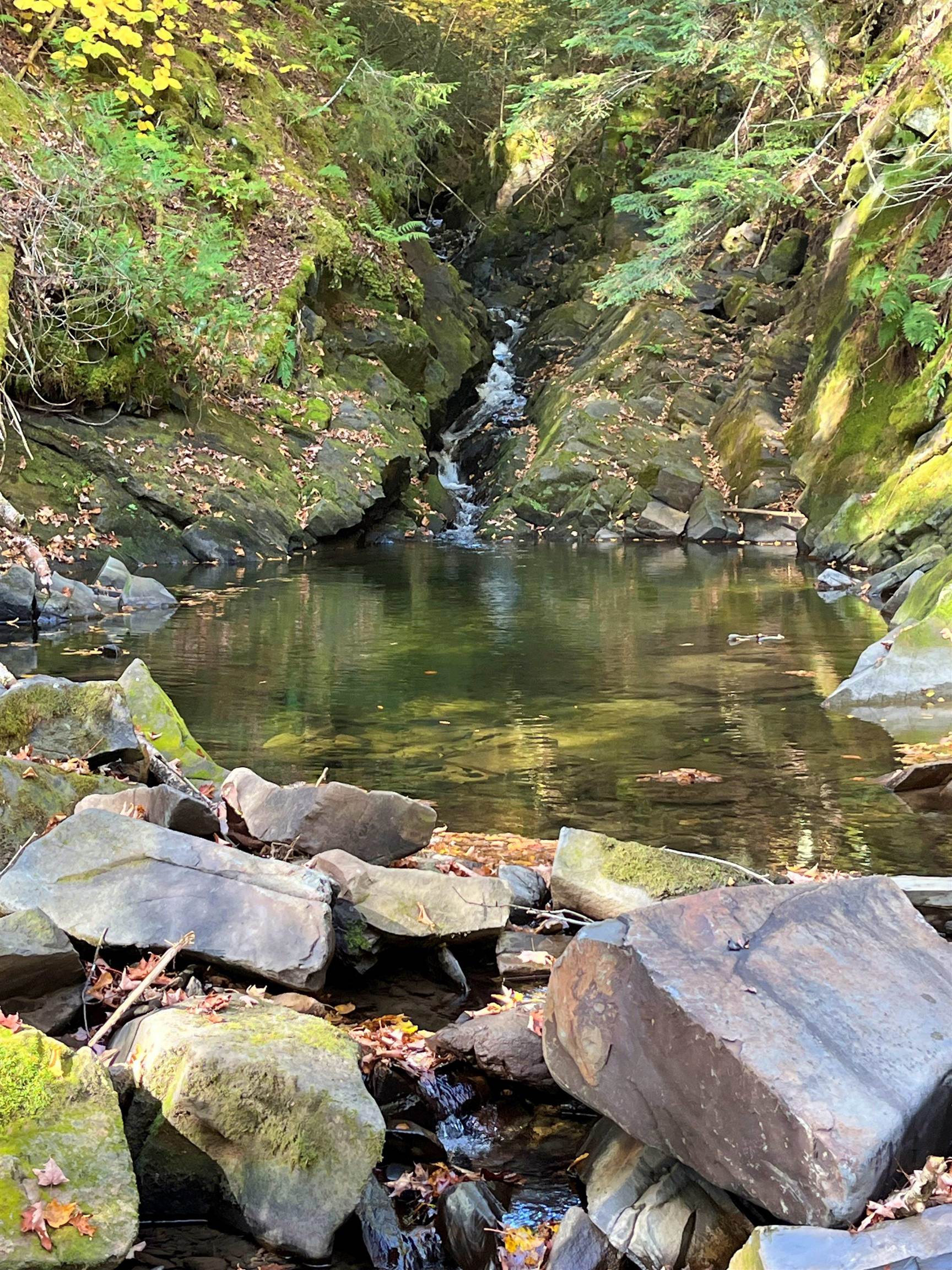 0 King Road Barton, VT 05875 - Photo 9 of 19