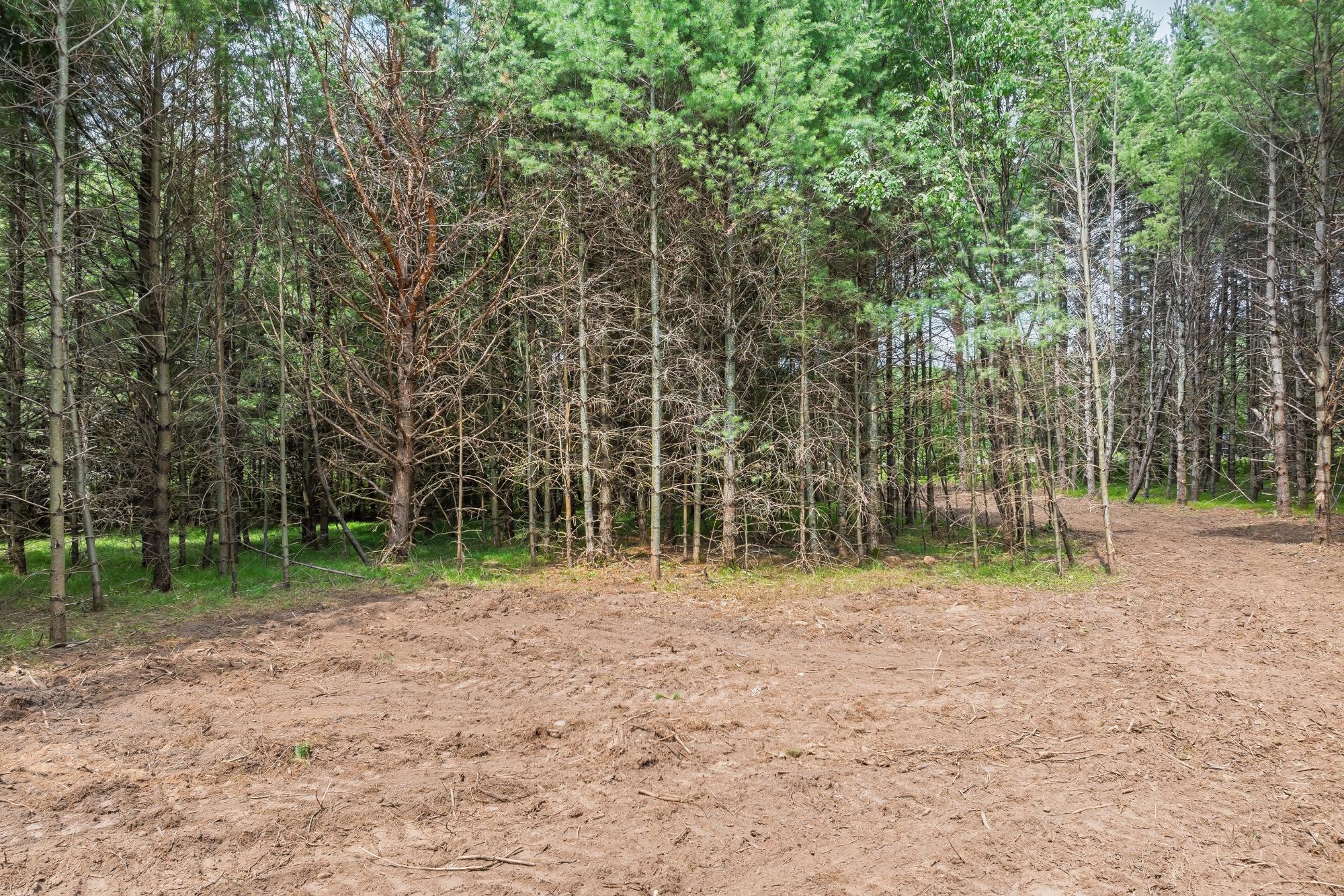 Off Church Road, Unit 2 Conover, WI 54519 - Photo 14 of 27