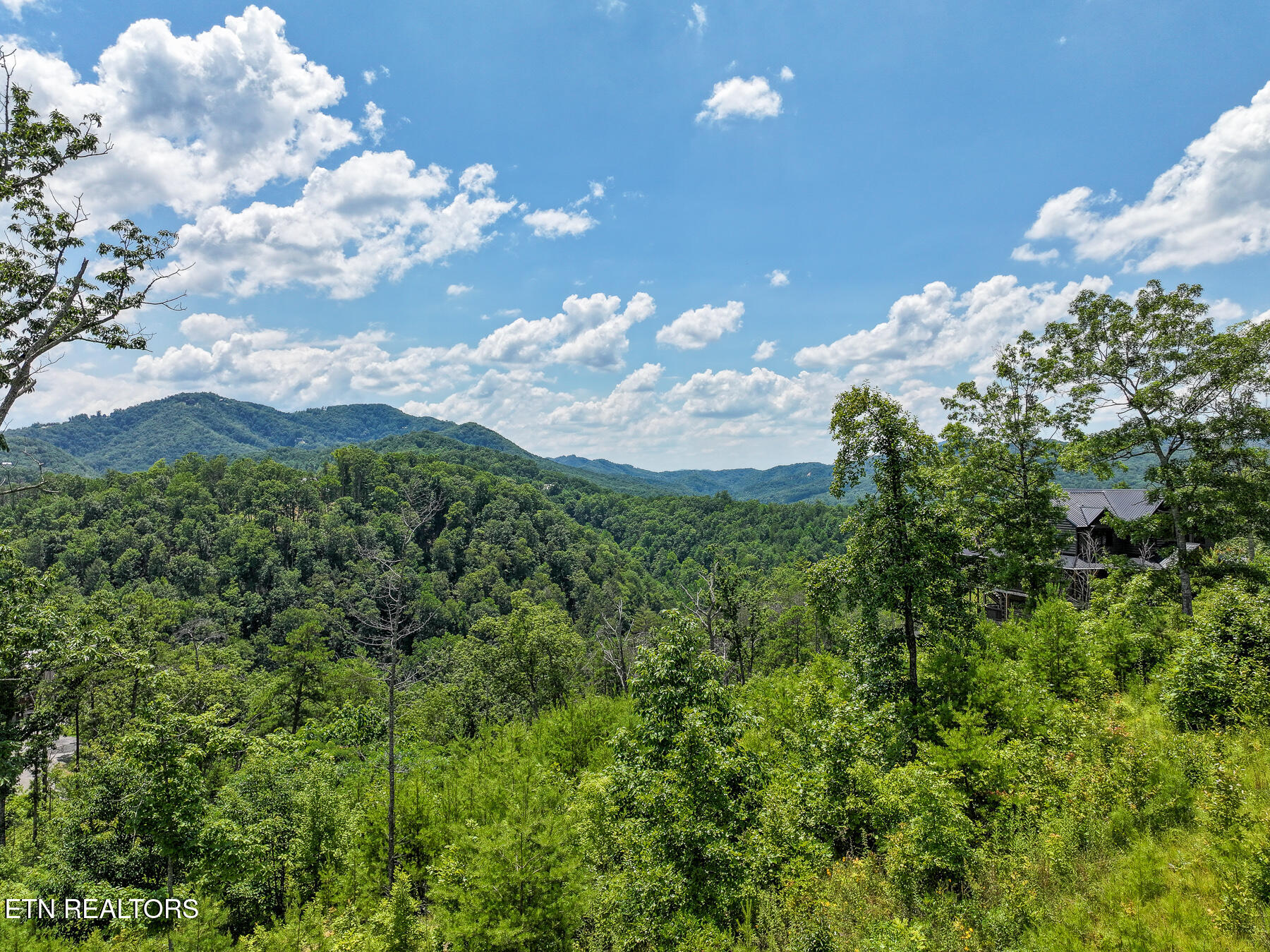 Lot 24 Coopers Hawk Way Sevierville, TN 37862 - Photo 5 of 9 Gregs_Drone_Pictures-16