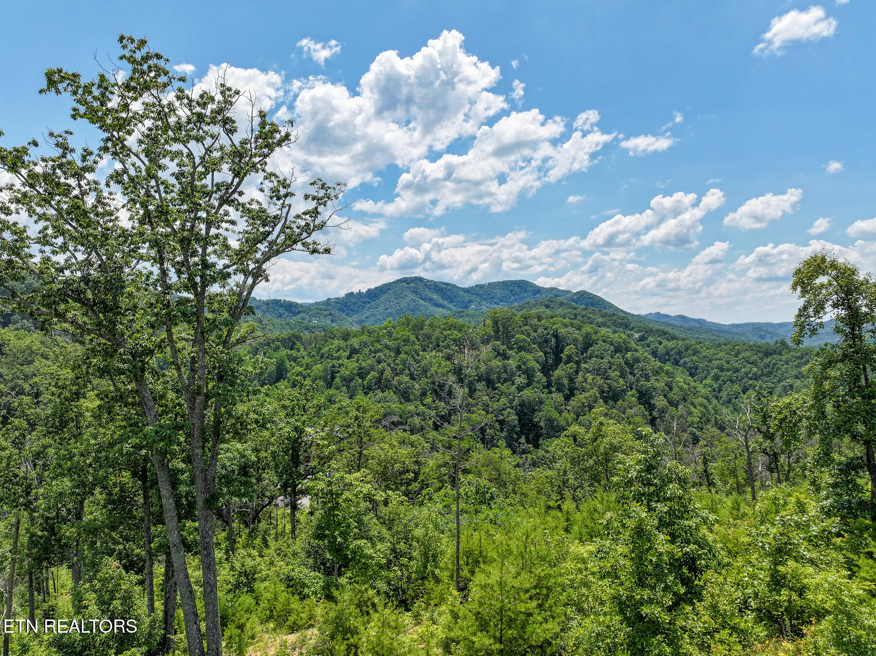 Lot 24 Coopers Hawk Way Sevierville, TN 37862 - Photo 6 of 9 Gregs_Drone_Pictures-17